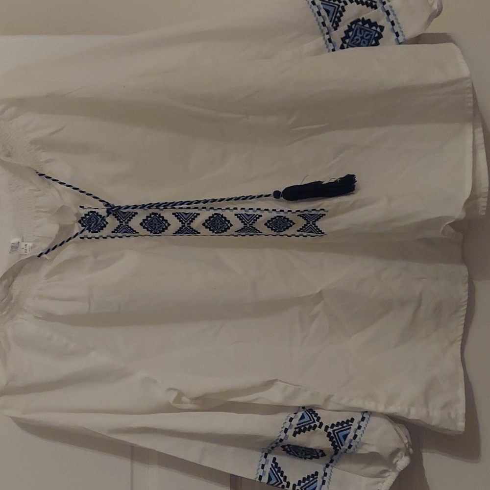 Time tru large blue and white blouse or shirt